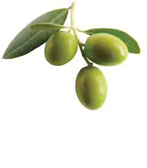 Arbequina Extra Virgin Olive Oil from Chile image 0